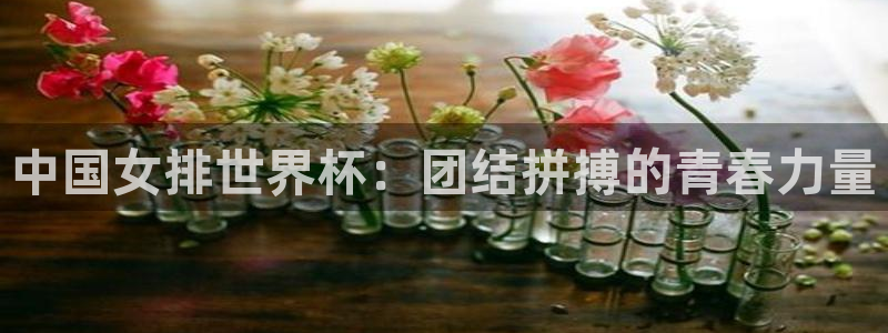 世界杯2026赛制：中国女排世界杯：团结拼搏的青春力量