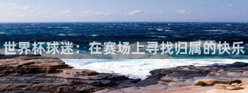 世界杯预选赛排名：世界杯球迷：在赛场上寻找归属的快乐