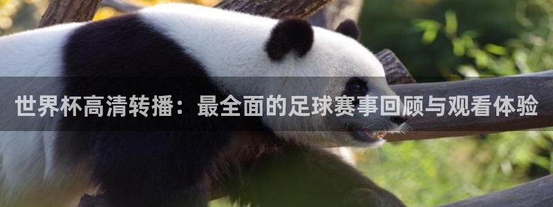 26世界杯：世界杯高清转播：最全面的足球赛事回顾与观看体验