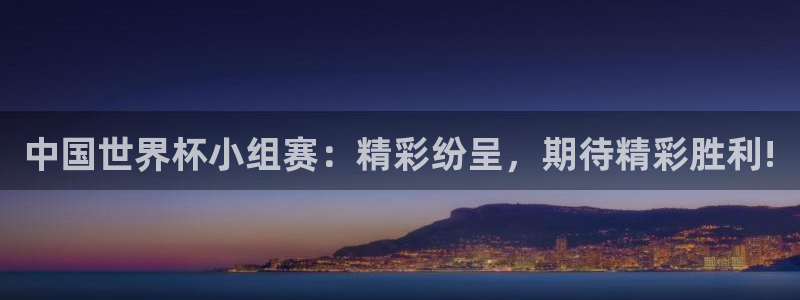 2026世界杯买球：中国世界杯小组赛：精彩纷呈，期待精彩胜利!