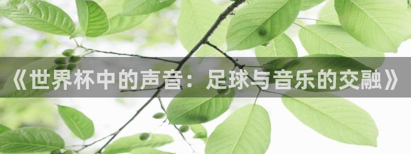 欧洲区世界杯预选赛：《世界杯中的声音：足球与音乐的交融》