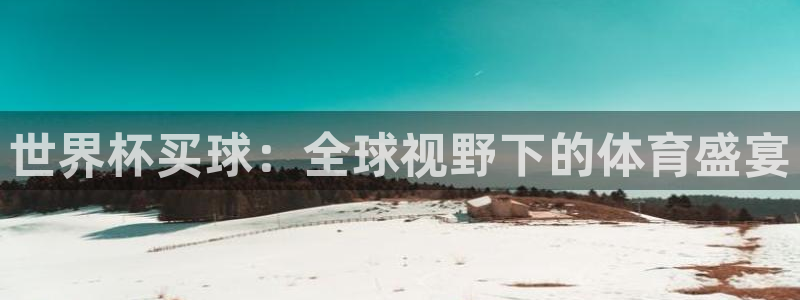 世界杯预选赛赛程表：世界杯买球：全球视野下的体育盛宴