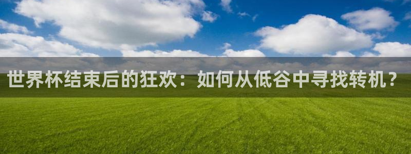 世界杯预选赛排名：世界杯结束后的狂欢：如何从低谷中寻找转机？