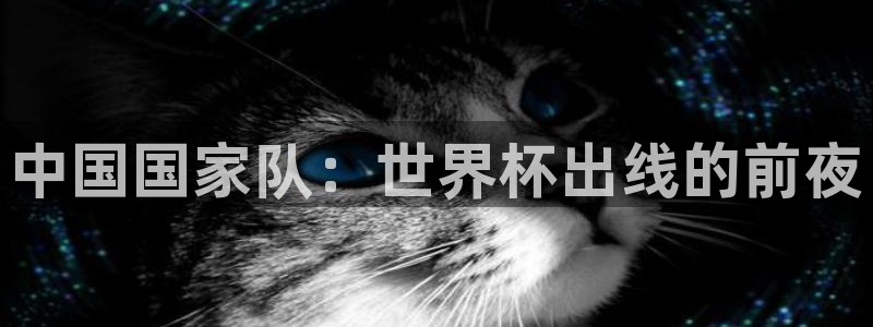 世界杯48支球队赛制：中国国家队：世界杯出线的前夜