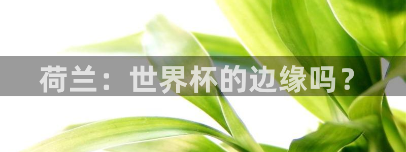 男足世界杯预选赛赛程：荷兰：世界杯的边缘吗？