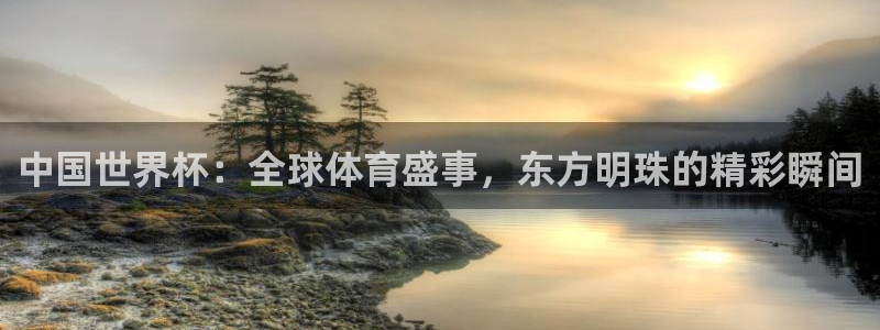 2006年世界杯：中国世界杯：全球体育盛事，东方明珠的精彩瞬间