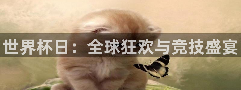 欧洲世界杯预选赛赛程：世界杯日：全球狂欢与竞技盛宴
